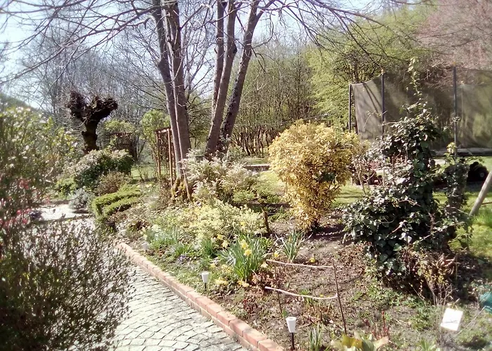 Le Relais Des Capucines לינה וארוחת בוקר Largnac